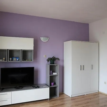 Apartment Loncarevic *